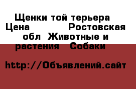 Щенки той терьера › Цена ­ 5 000 - Ростовская обл. Животные и растения » Собаки   
